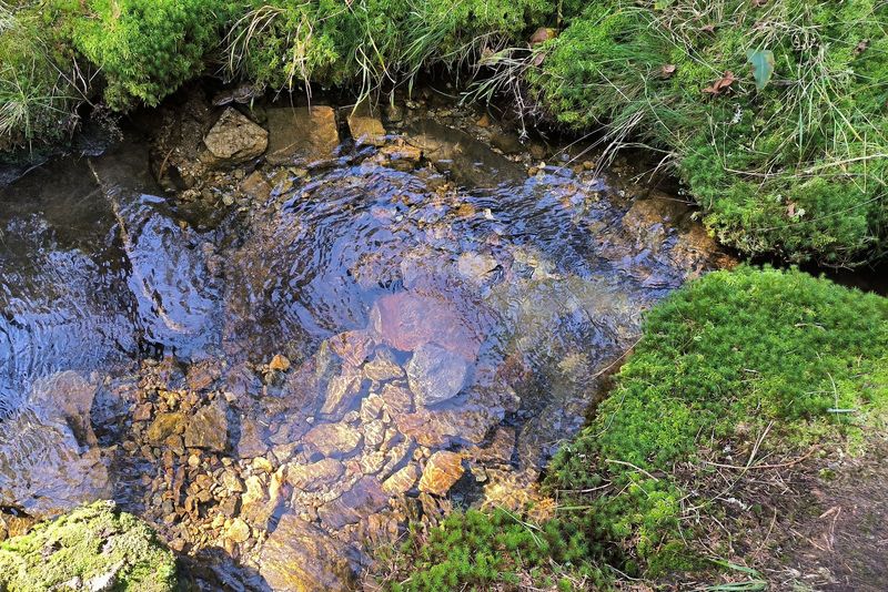 Glasklares Wasser in den Bächen